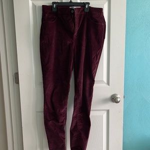 Burgundy Velvet jeans
